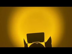 WW CW LED 프레스넬 점광등